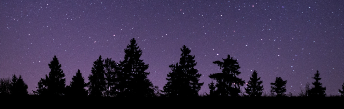 Trail Nocturne sur les traces du Graoully