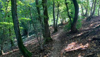 Rando au Mont Saint Quentin