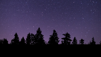 Trail Nocturne sur les traces du Graoully